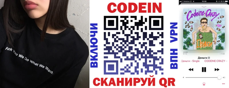 купить наркотики цена  Темников  Кодеин Purple Drank 