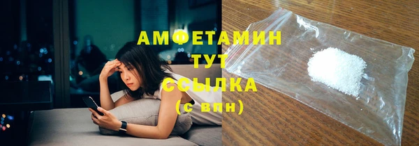 гидра Абаза