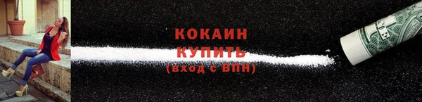 ГАЛЛЮЦИНОГЕННЫЕ ГРИБЫ Алзамай