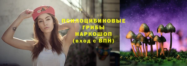 гидра Абаза