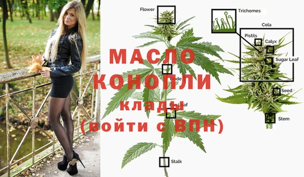 гидра Абаза