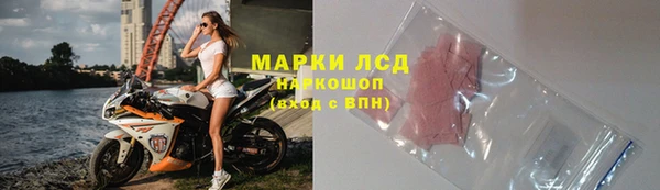 ГАЛЛЮЦИНОГЕННЫЕ ГРИБЫ Алзамай