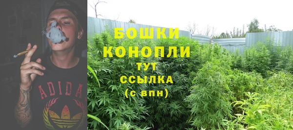 гидропоника Абдулино