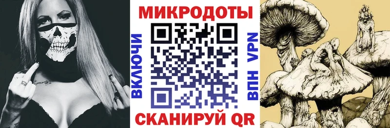 магазин наркотиков Темников Галлюциногенные грибы Psilocybe